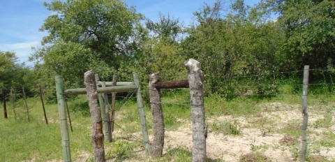 Fencing of gum-poles & tswana poles