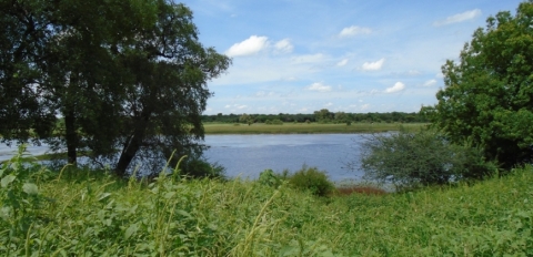 River view from the plot