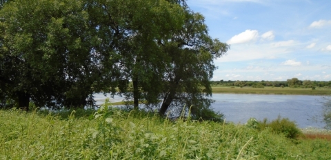 River view