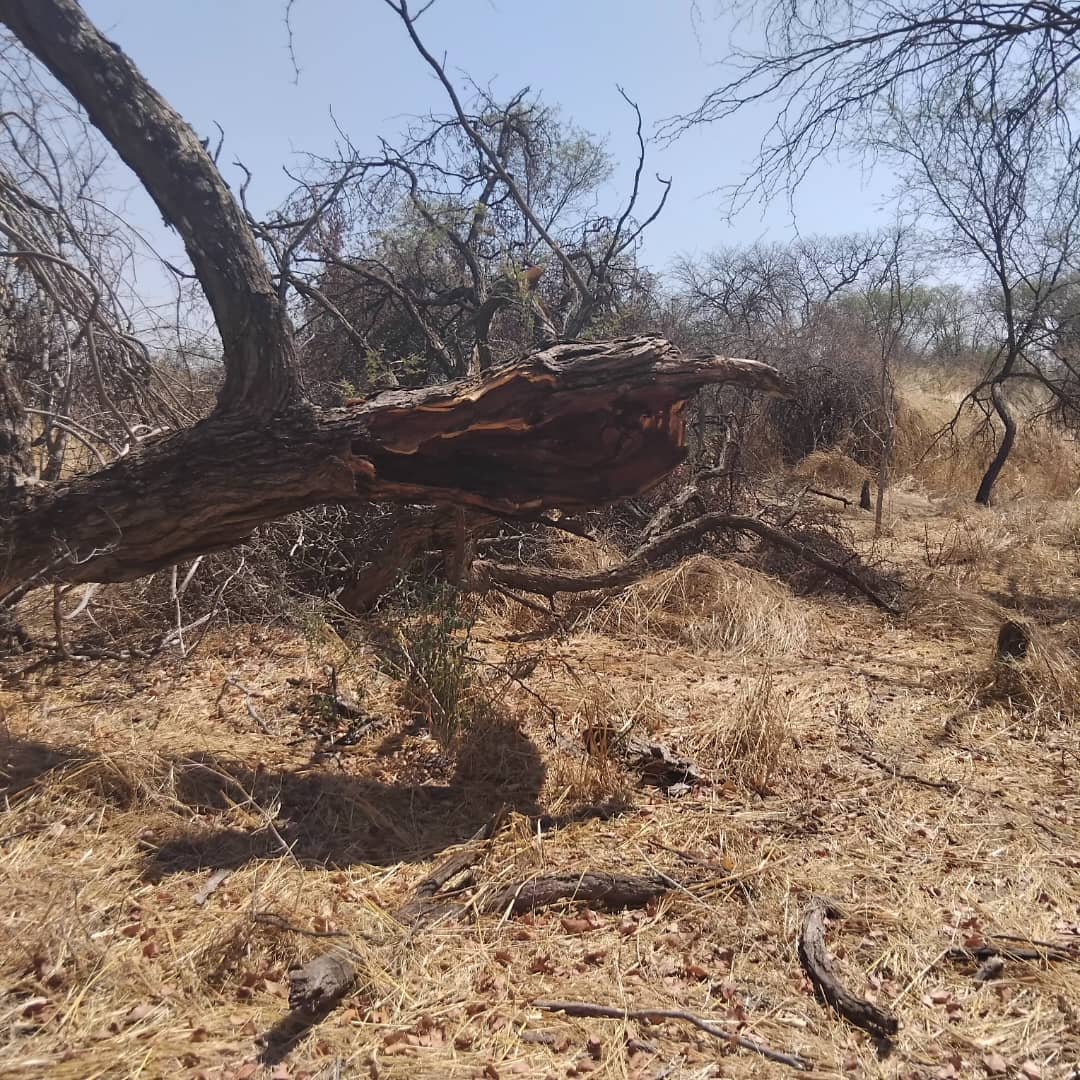 WhatsApp Image 2025-10-06 at 15.33.31