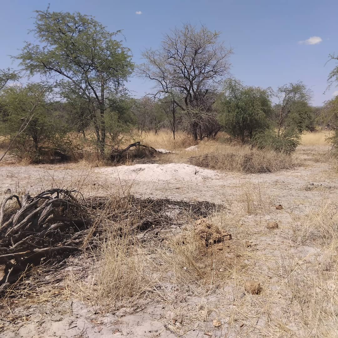 WhatsApp Image 2025-10-06 at 15.33.37