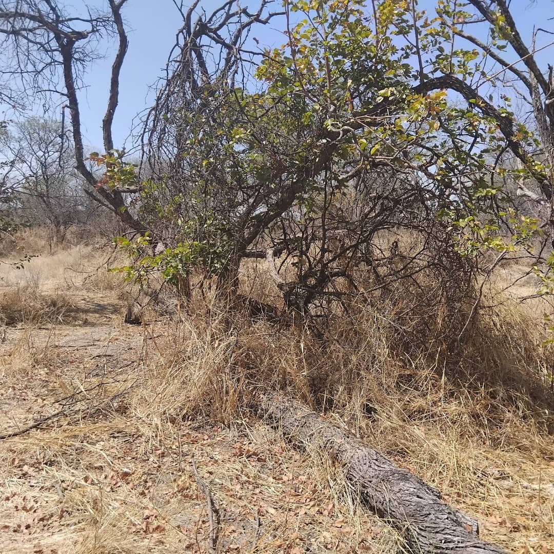 WhatsApp Image 2025-10-06 at 15.33.48 (1)