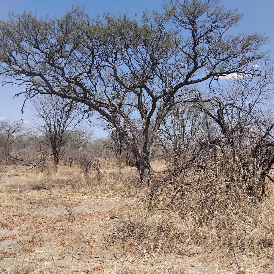 WhatsApp Image 2025-10-06 at 15.34.18