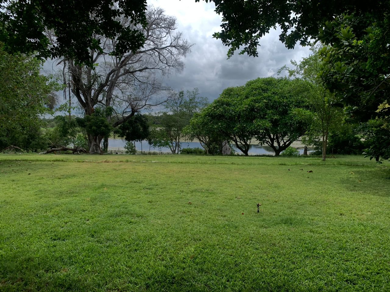 WhatsApp Image 2025-12-10 at 09.41.58 (2)