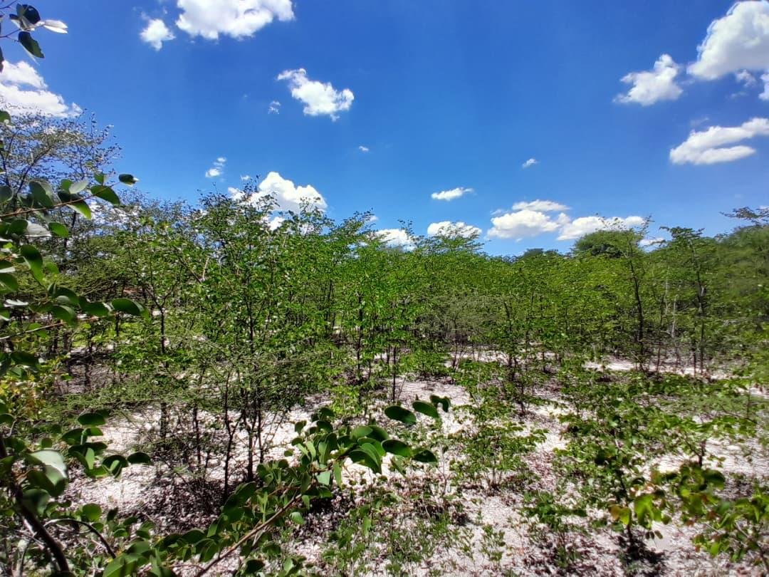 WhatsApp Image 2026-01-27 at 08.42.06