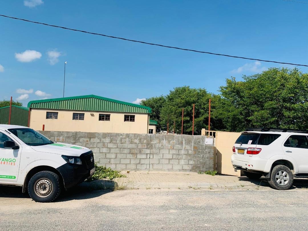 WhatsApp Image 2026-03-19 at 10.15.38 (1)