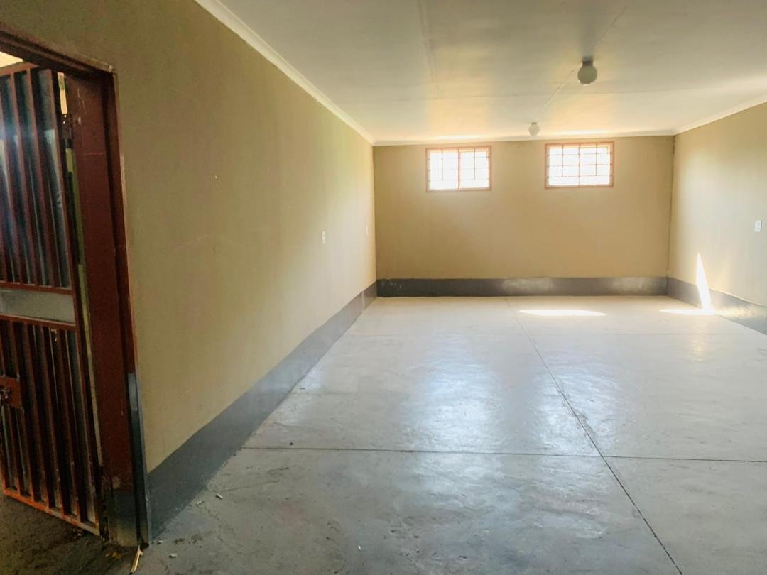 WhatsApp Image 2026-03-19 at 10.15.40 (1)