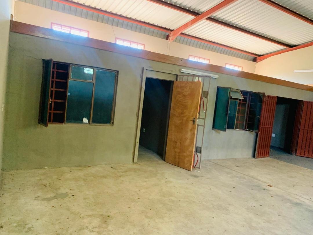 WhatsApp Image 2026-03-19 at 10.15.40